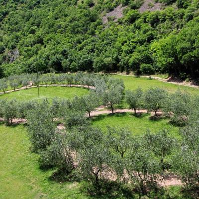 Bosco Di San Francesco Assisi Casa Vacanza Casale Santa Margherita Umbria