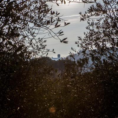 Assisi View Of The Basilica Of St Francis Casale Santa Margherita Umbria Italy